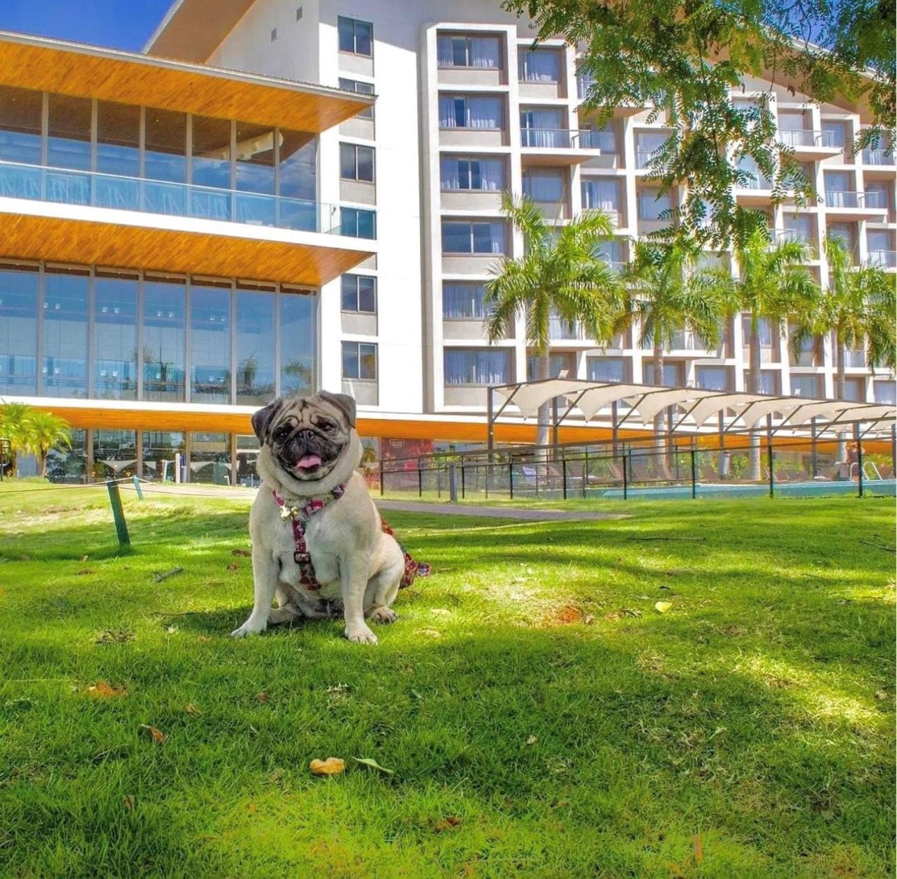 Novotel Itu Terras De Sao Jose Golf & Resort Dış mekan fotoğraf